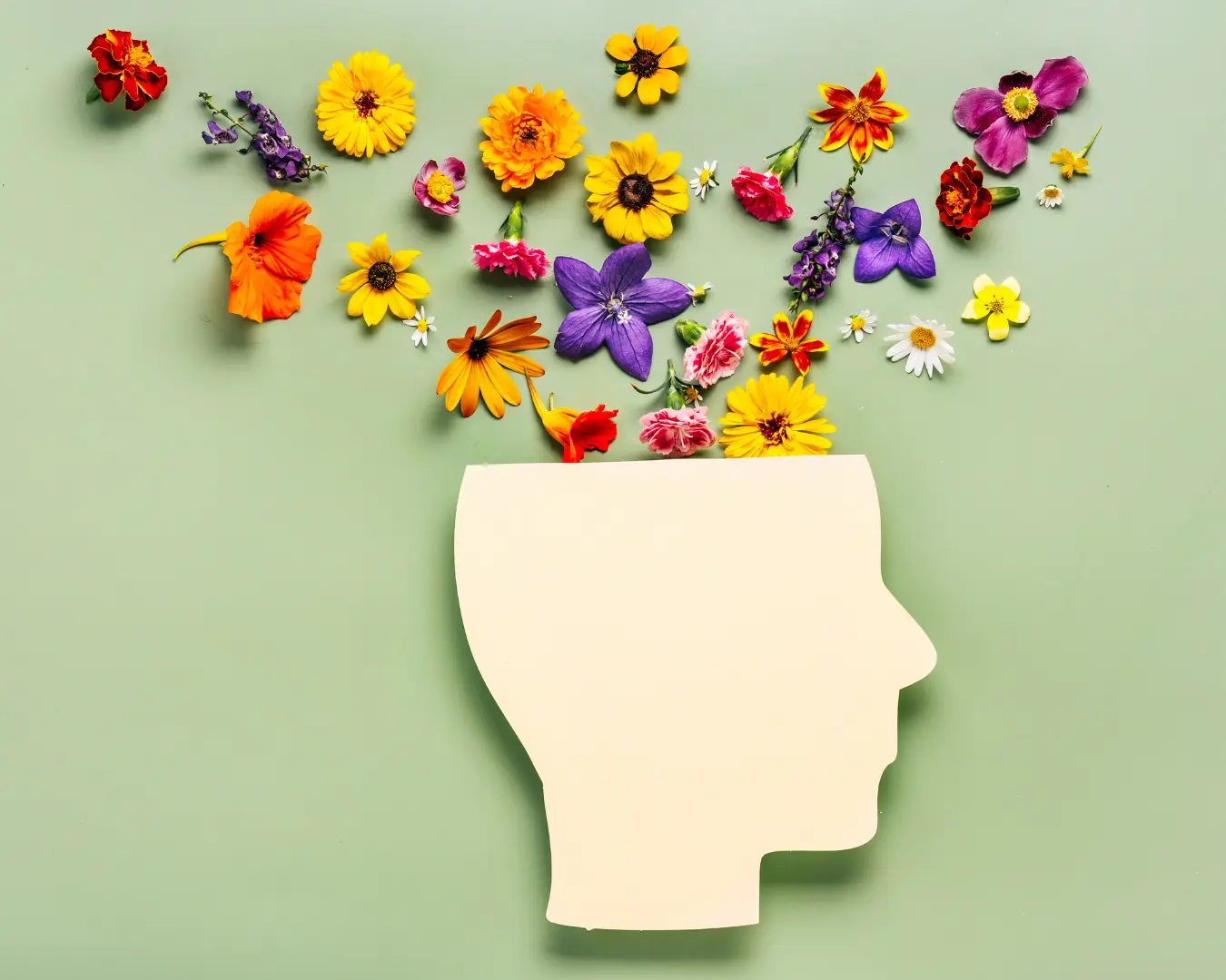 Salute mentale - Segreteria Medica 3SMB